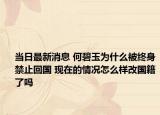 当日最新消息 何碧玉为什么被终身禁止回国 现在的情况怎么样改国籍了吗