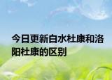 今日更新白水杜康和洛阳杜康的区别
