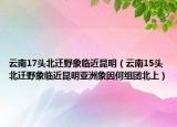 云南17头北迁野象临近昆明（云南15头北迁野象临近昆明亚洲象因何组团北上）