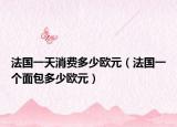 法国一天消费多少欧元（法国一个面包多少欧元）