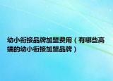 幼小衔接品牌加盟费用（有哪些高端的幼小衔接加盟品牌）