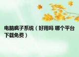电脑疯子系统（好用吗 哪个平台下载免费）