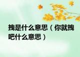 拽是什么意思（你就拽吧什么意思）