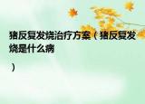 猪反复发烧治疗方案（猪反复发烧是什么病|）