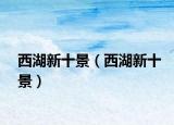 西湖新十景（西湖新十景）