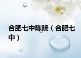 合肥七中陈晓（合肥七中）