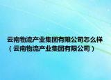 云南物流产业集团有限公司怎么样（云南物流产业集团有限公司）