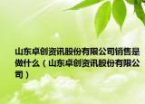 山东卓创资讯股份有限公司销售是做什么（山东卓创资讯股份有限公司）