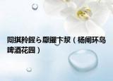 闈掑矝鍟ら厭鑺卞洯（杨闸环岛啤酒花园）