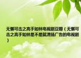 无懈可击之高手如林电视剧豆瓣（无懈可击之高手如林是不是就清扬广告的电视剧）