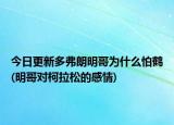 今日更新多弗朗明哥为什么怕鹤(明哥对柯拉松的感情)