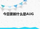 今日更新什么是AUG