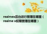 realmex后台运行管理在哪里（realme x权限管理在哪里）