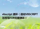 vbscript 循环（请问VBSCRIPT怎样写FOR无限循环）