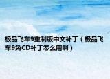 极品飞车9重制版中文补丁（极品飞车9免CD补丁怎么用啊）