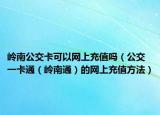 岭南公交卡可以网上充值吗（公交一卡通（岭南通）的网上充值方法）