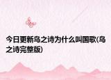 今日更新鸟之诗为什么叫国歌(鸟之诗完整版)