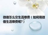 微信怎么交生活缴费（如何用微信生活缴费呢?）