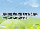 魔兽世界法师选什么专业（魔兽世界法师选什么专业）
