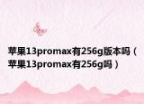 苹果13promax有256g版本吗（苹果13promax有256g吗）