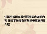 任泽平被曝在苏州摇号买房详细内容 任泽平被曝在苏州摇号买房具体介绍