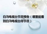 白沟电视台节目预告（哪里能看到白沟电视台得节目）