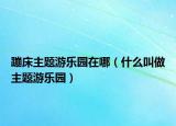 蹦床主题游乐园在哪（什么叫做主题游乐园）