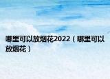 哪里可以放烟花2022（哪里可以放烟花）