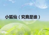 小狐仙（究竟是谁）
