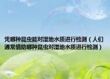 凭哪种昆虫能对湿地水质进行检测（人们通常借助哪种昆虫对湿地水质进行检测）
