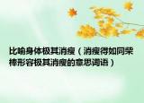 比喻身体极其消瘦（消瘦得如同柴棒形容极其消瘦的意思词语）