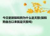 今日更新猫和狗为什么是天敌(猫和狗自古以来就是天敌吗)