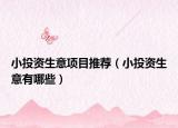 小投资生意项目推荐（小投资生意有哪些）