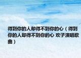 得到你的人却得不到你的心（得到你的人却得不到你的心 欢子演唱歌曲）