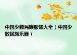 中国少数民族服饰大全（中国少数民族乐器）