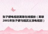 张子健电视剧英雄在线播放（英雄 2001年张子健马精武主演电视剧）