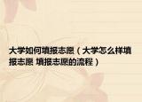 大学如何填报志愿（大学怎么样填报志愿 填报志愿的流程）