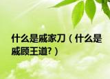 什么是戚家刀（什么是戚顾王道?）