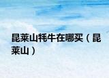 昆莱山牦牛在哪买（昆莱山）