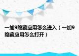 一加9隐藏应用怎么进入（一加9隐藏应用怎么打开）