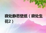 寂处静思壁纸（寂处生花2）