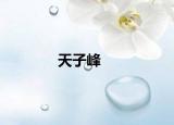 天子峰