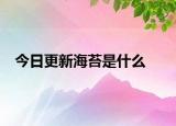 今日更新海苔是什么