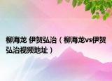 柳海龙 伊贺弘治（柳海龙vs伊贺弘治视频地址）