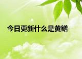 今日更新什么是黄鳝