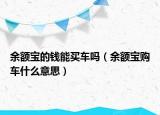 余额宝的钱能买车吗（余额宝购车什么意思）