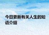 今日更新有关人生的短语介绍