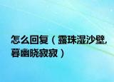怎么回复（露珠湿沙壁,暮幽晓寂寂）