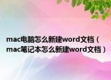 mac电脑怎么新建word文档（mac笔记本怎么新建word文档）