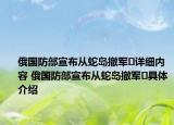 俄国防部宣布从蛇岛撤军️详细内容 俄国防部宣布从蛇岛撤军️具体介绍